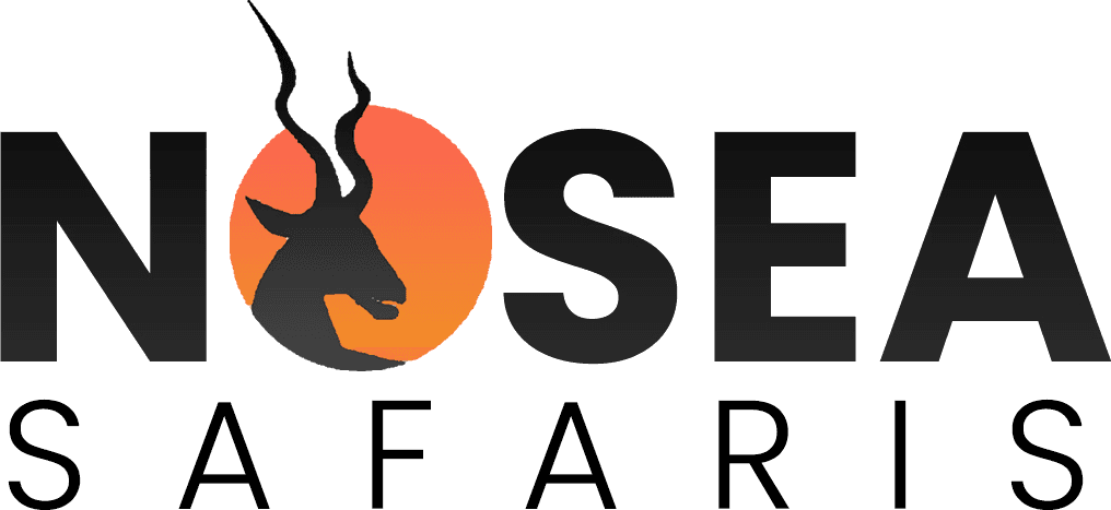 Nosea Safaris