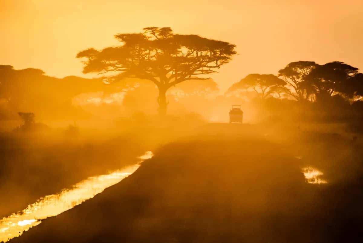 Zambezi Sunset Cruise, photo 1